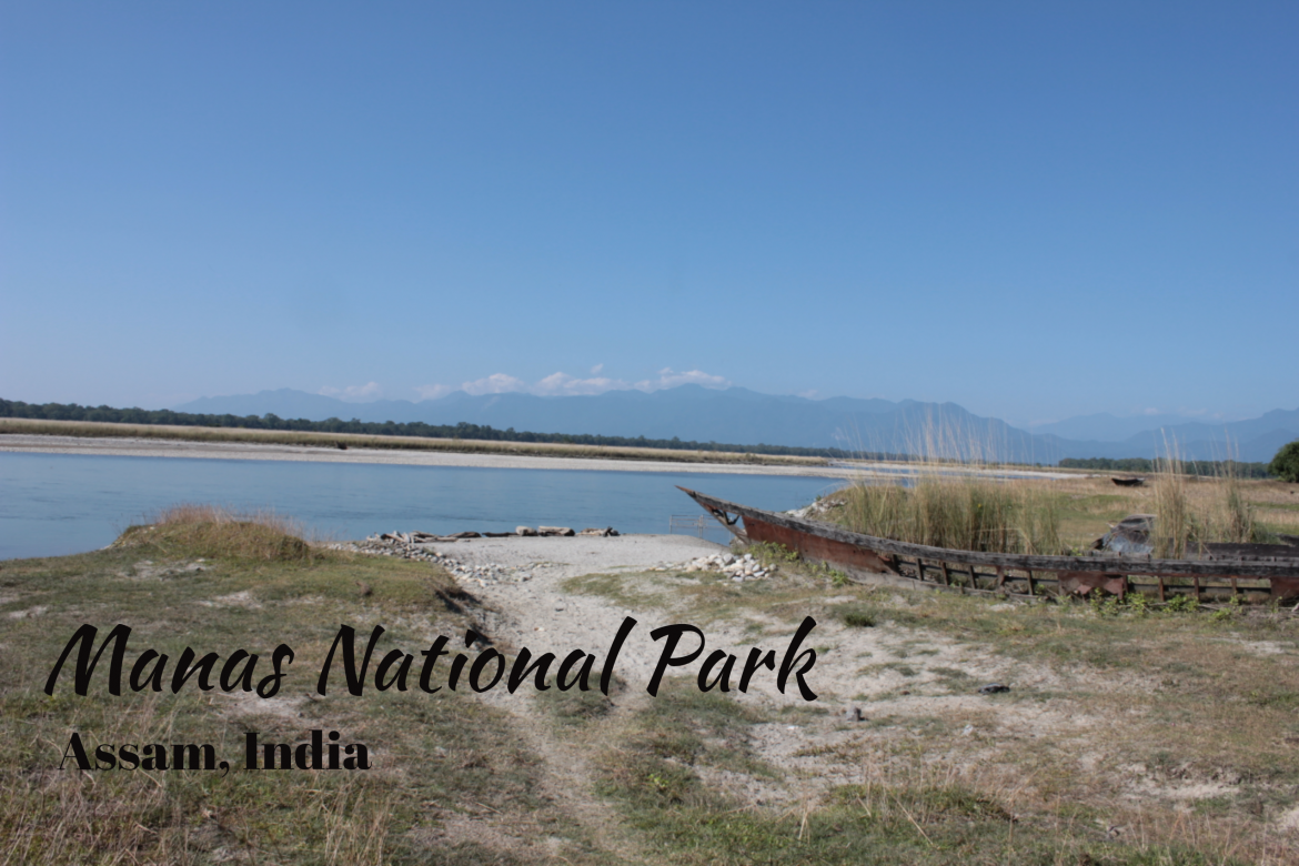 4-reasons-to-visit-manas-national-park-explore-with-ecokats