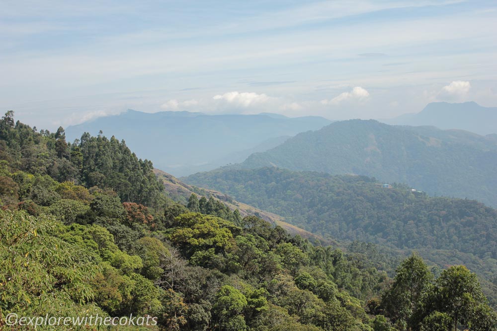 Discover Things to Do in Munnar other than Tea Estates - Explore with ...