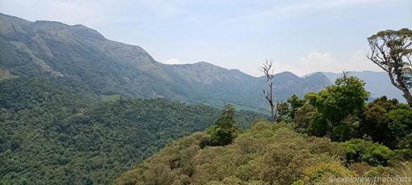 Trekking in Munnar (Yellapatty Trail) - Explore with Ecokats