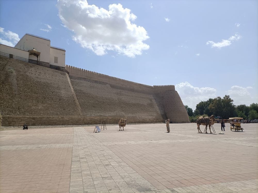 Ark of Bukhara - A citadel