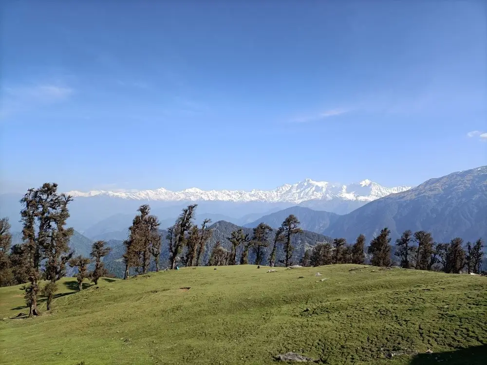 Meadows overlooking the mountains